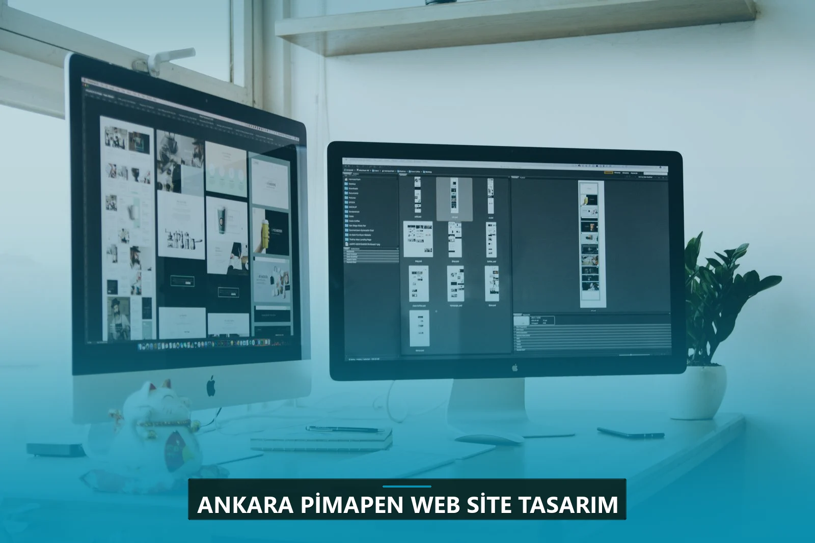 Ankara Pimapen Web Site Tasarım