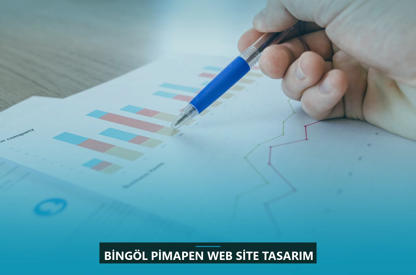 Bingöl Pimapen Web Site Tasarım