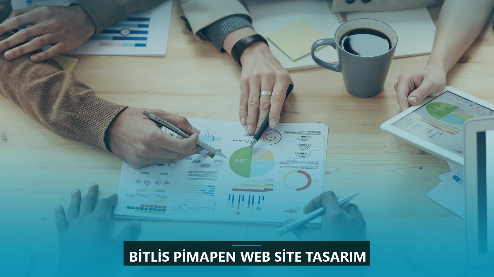 Bitlis Pimapen Web Site Tasarım
