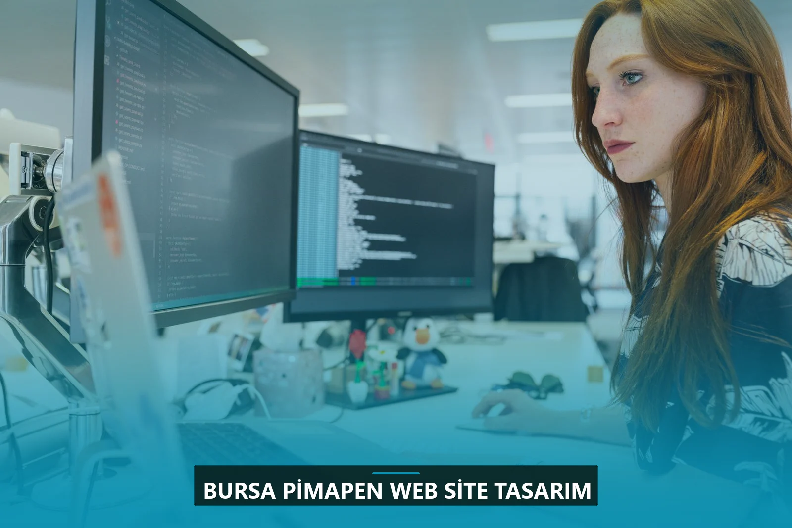 Bursa Pimapen Web Site Tasarım