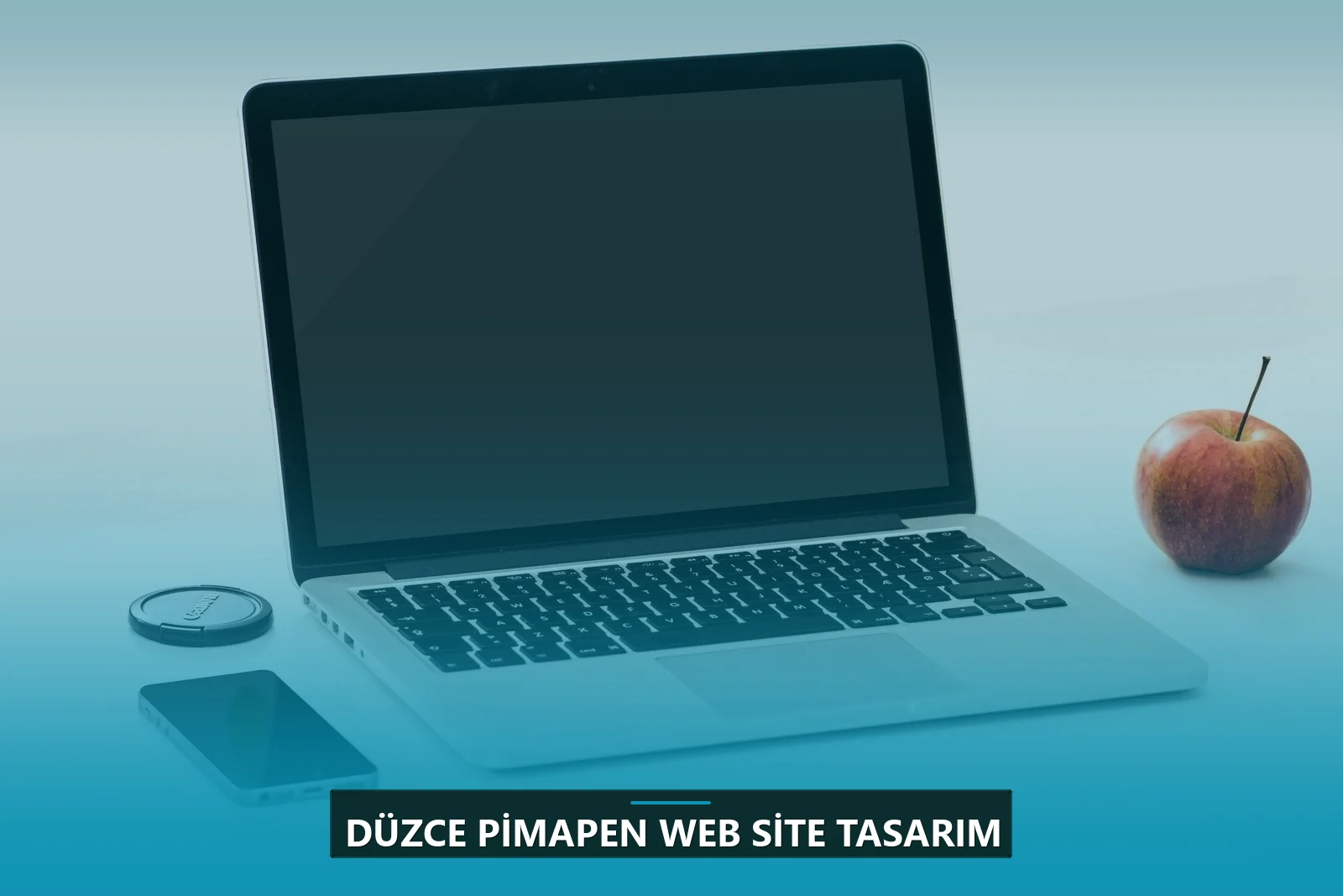 Düzce Pimapen Web Site Tasarım
