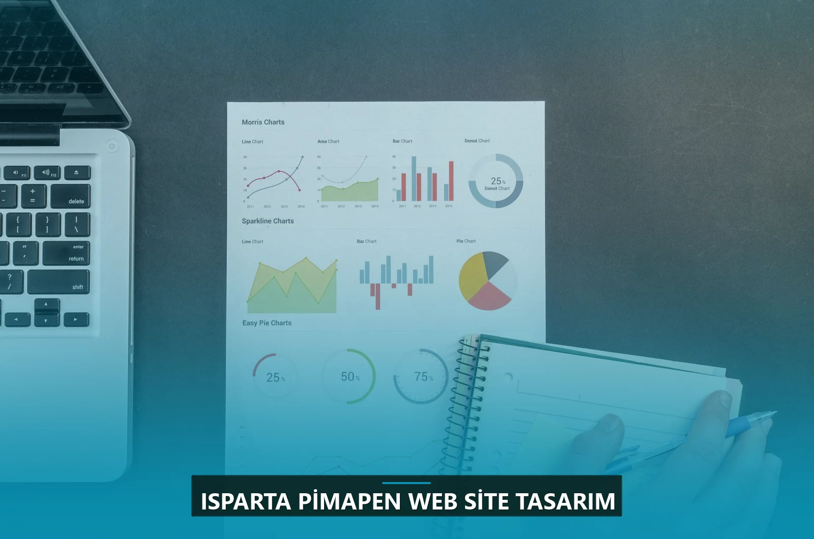 Isparta Pimapen Web Site Tasarım