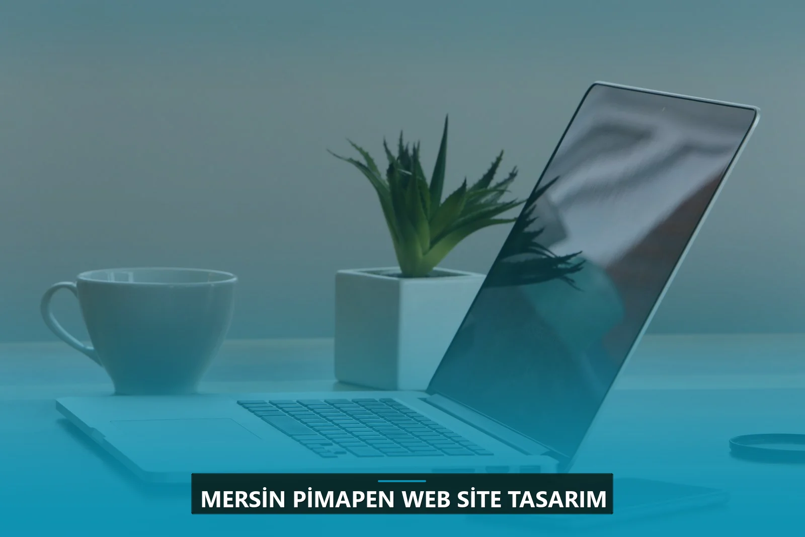 Mersin Pimapen Web Site Tasarım