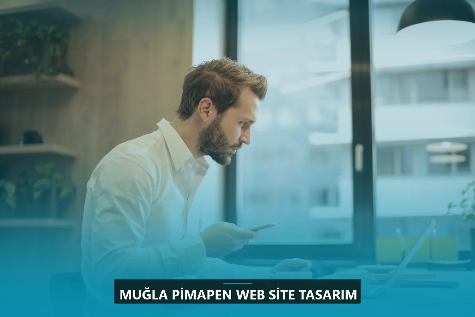 Muğla Pimapen Web Site Tasarım