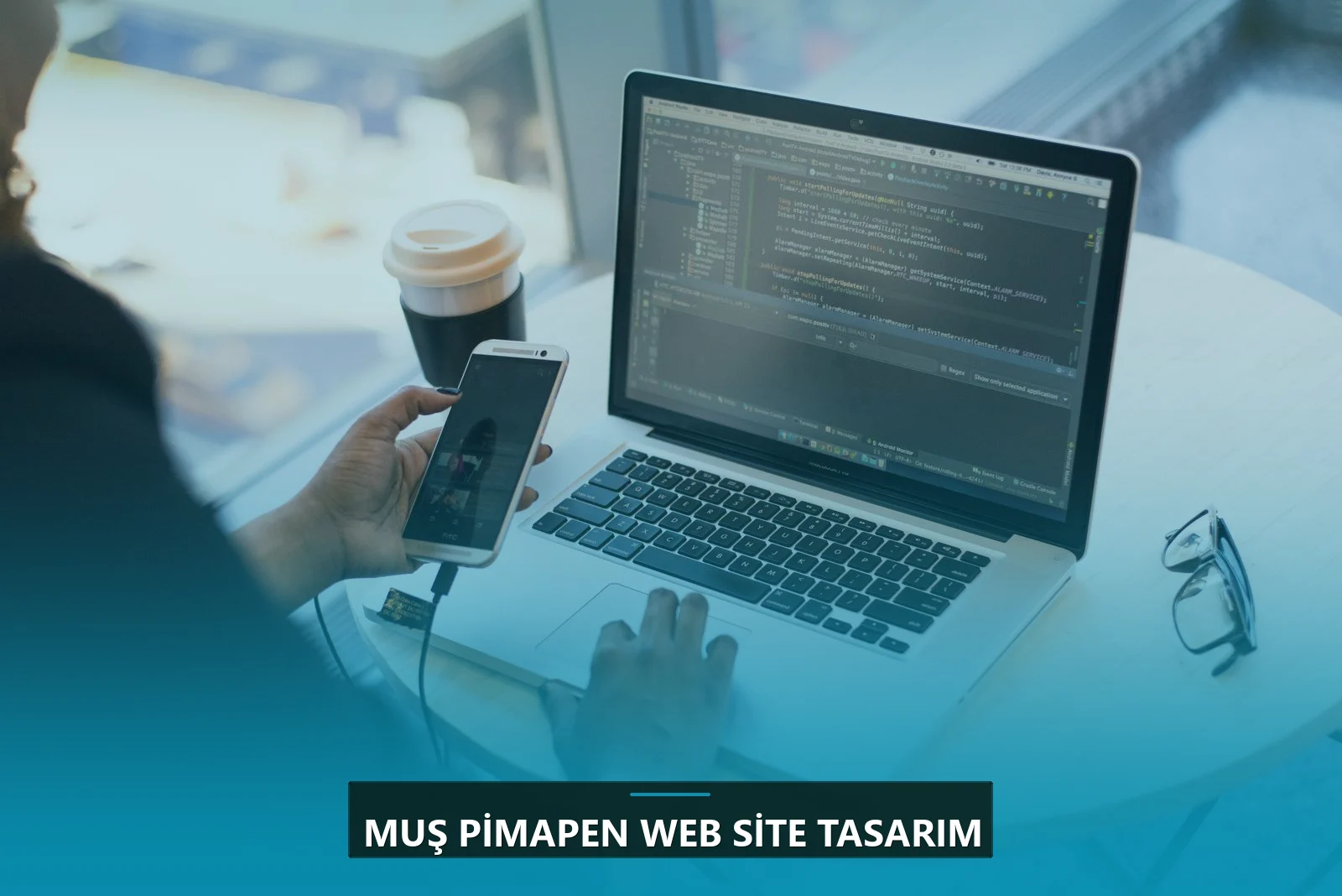 Muş Pimapen Web Site Tasarım