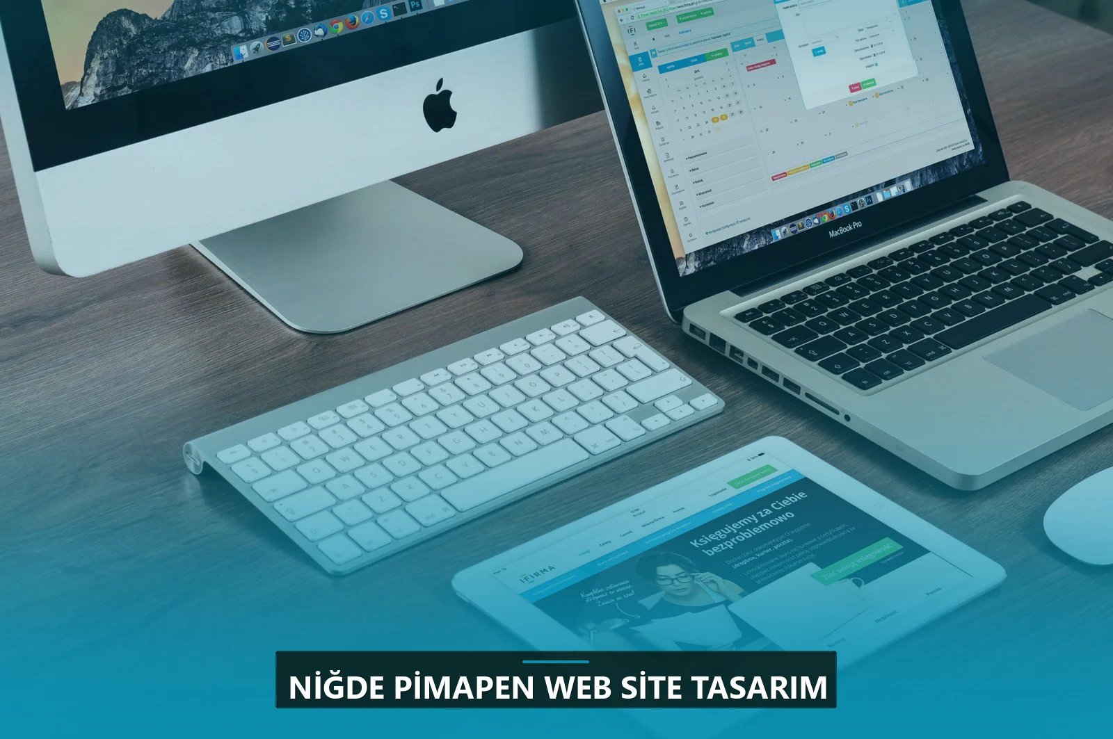 Niğde Pimapen Web Site Tasarım