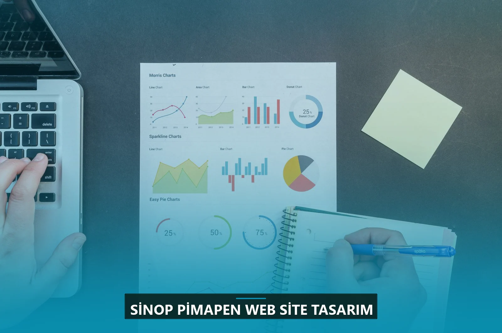 Sinop Pimapen Web Site Tasarım