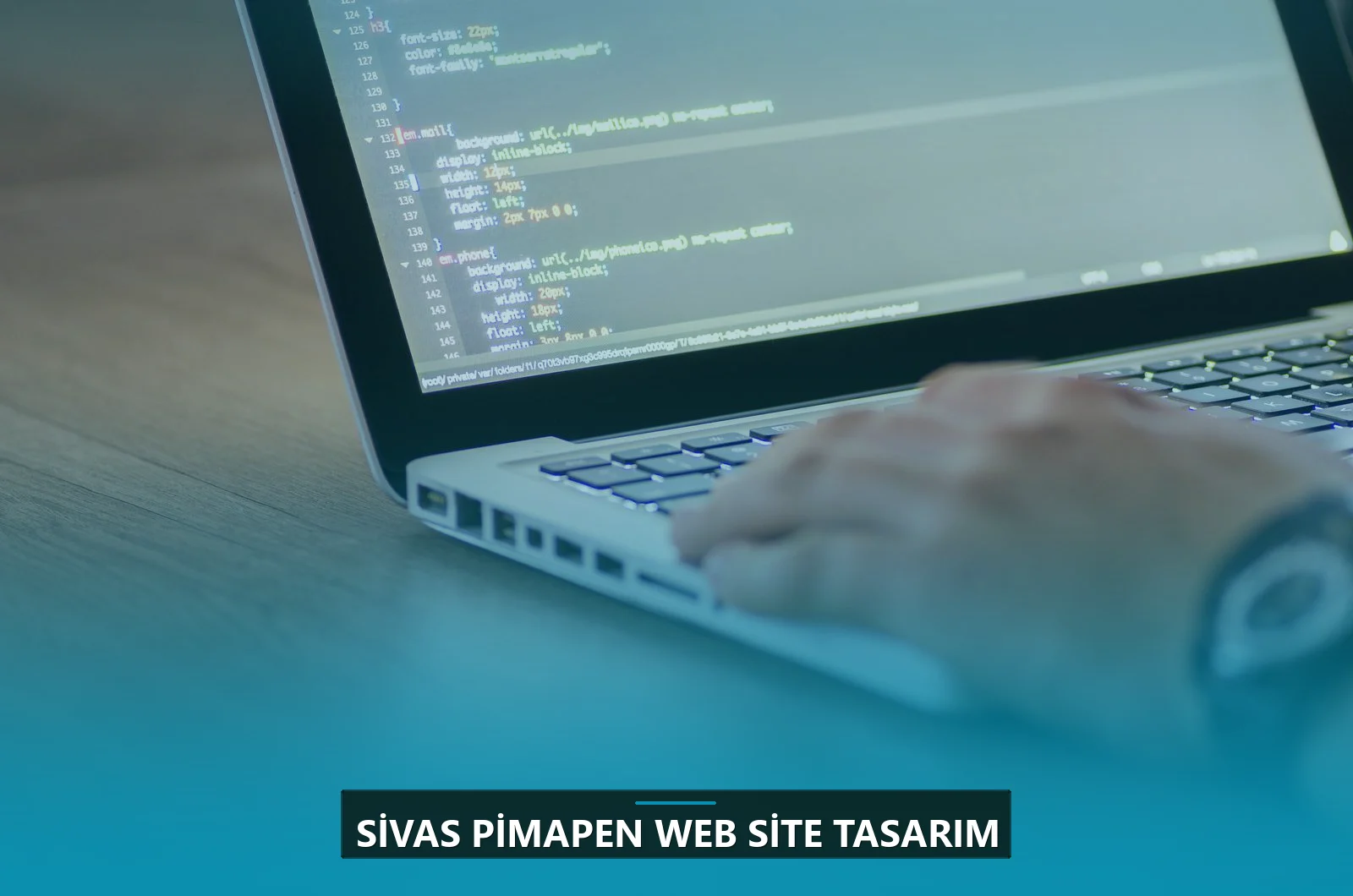 Sivas Pimapen Web Site Tasarım