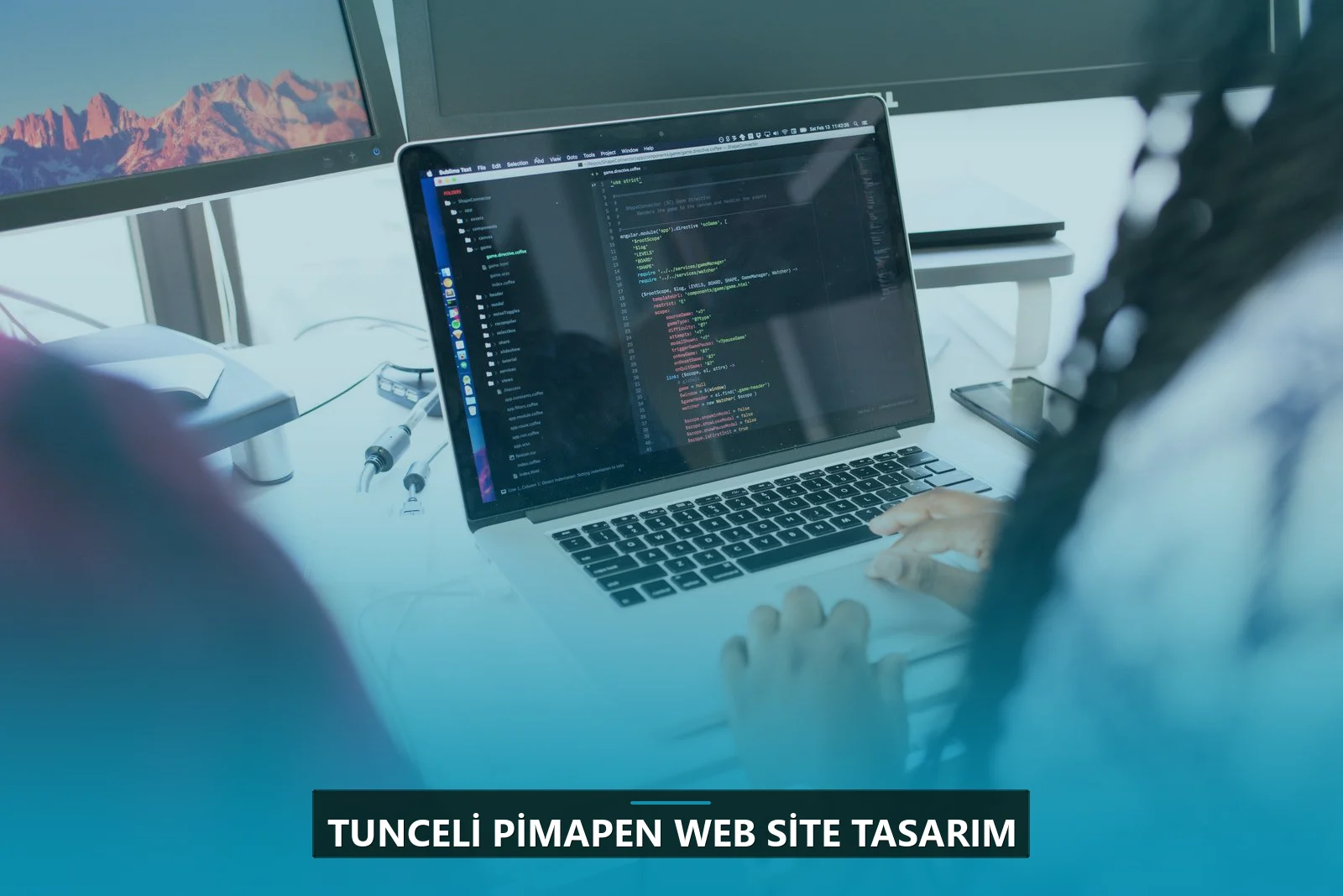 Tunceli Pimapen Web Site Tasarım