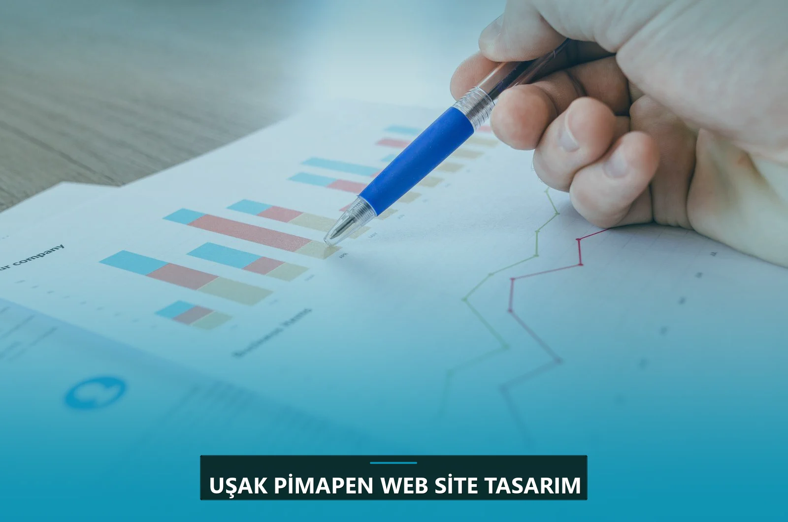 Uşak Pimapen Web Site Tasarım